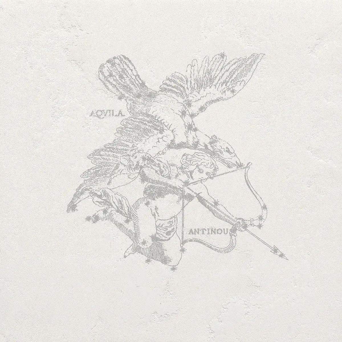 Pietra Lavica Aquila Arenal 49x49 cm